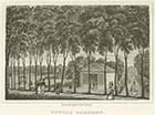 Tivoli gardens | Margate History